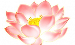 救人误考竟得福报（图）