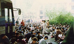 “天津事件”拉开中共迫害法轮功黑幕（图）