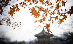 民间传说：拆毁佛寺，家族灭亡（图）